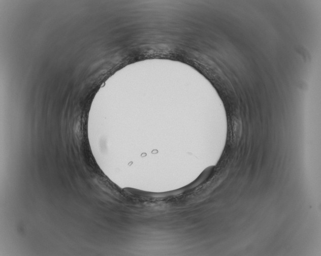 X0000112761250200910011208