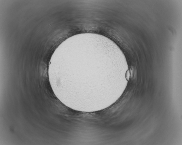 X0000112761251200910011208