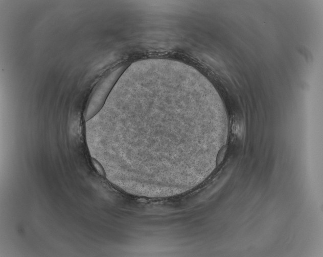 X0000112761252200910011208