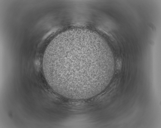 X0000112761254200910011208