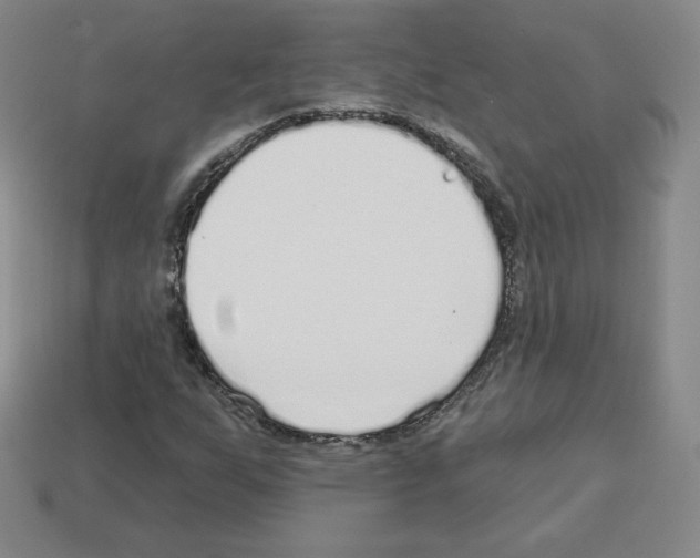 X0000112761255200910011208