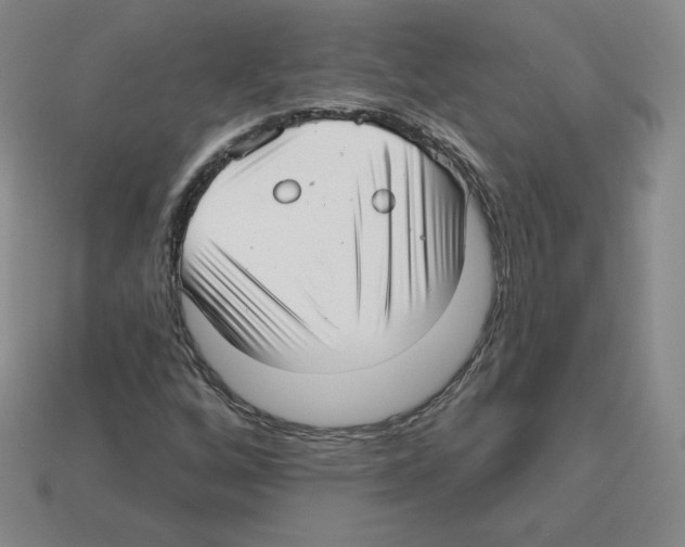 X0000112761256200910011208