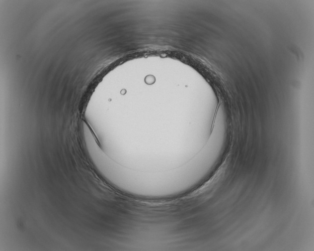 X0000112761257200910011208