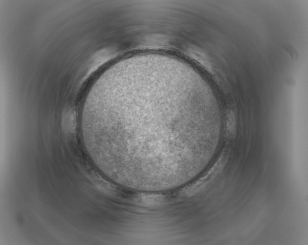 X0000112761258200910011208