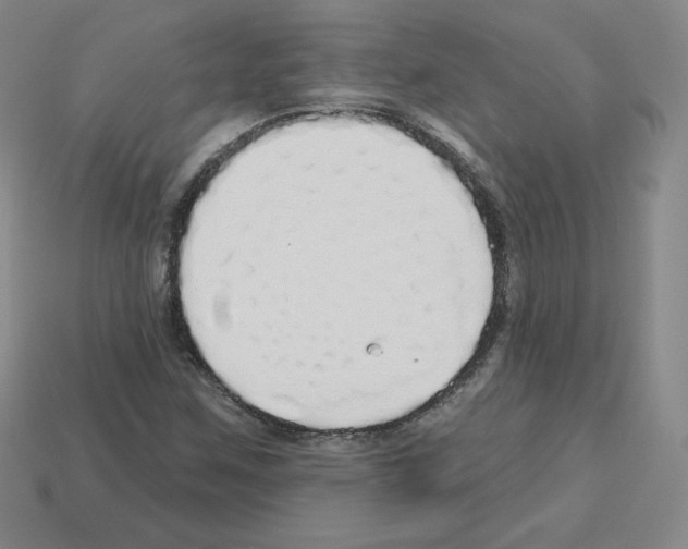 X0000112761259200910011208
