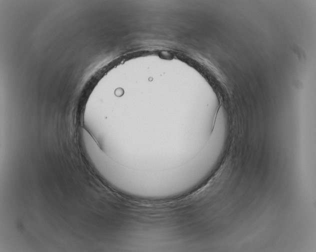 X0000112761261200910011208