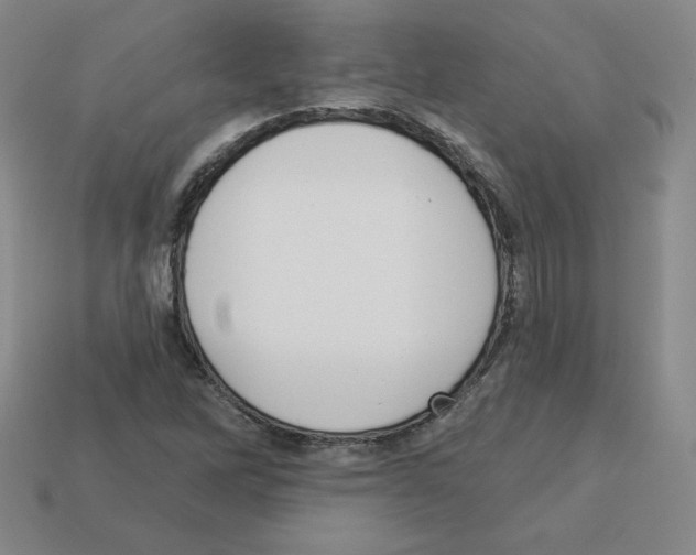 X0000112761262200910011208