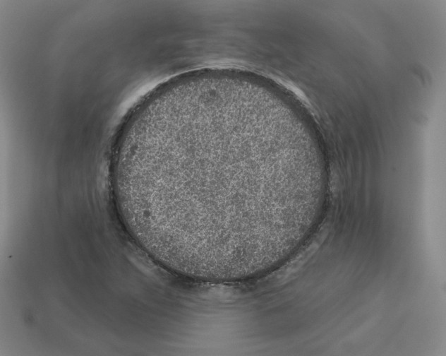 X0000112761263200910011208