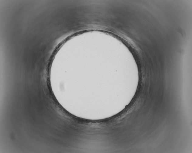 X0000112761264200910011208