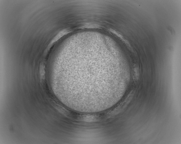 X0000112761266200910011208