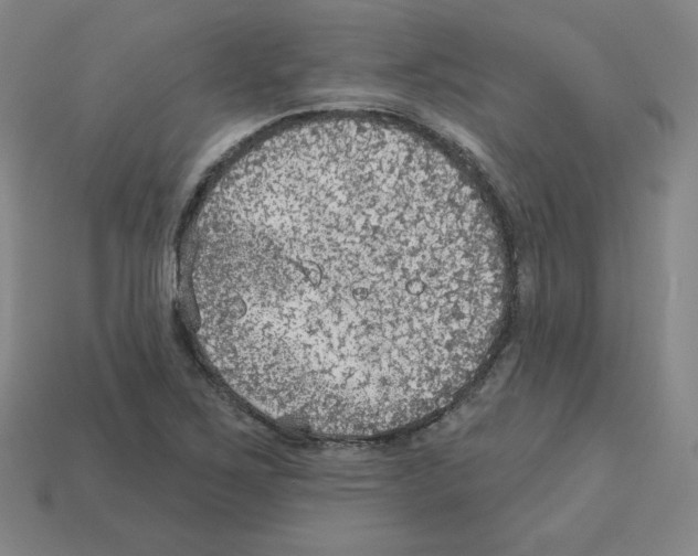 X0000112761267200910011208