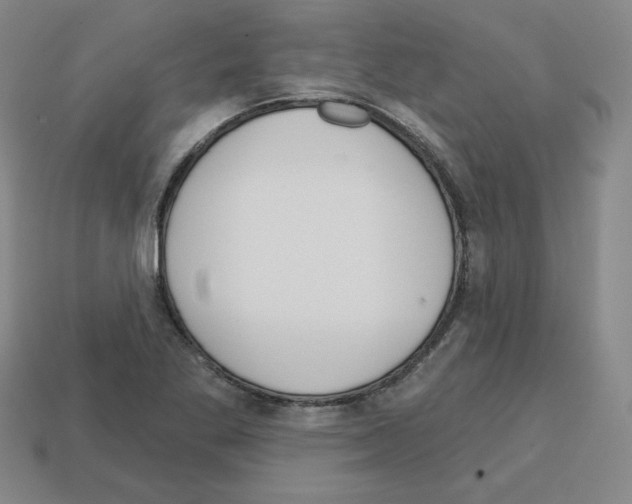 X0000112761269200910011208