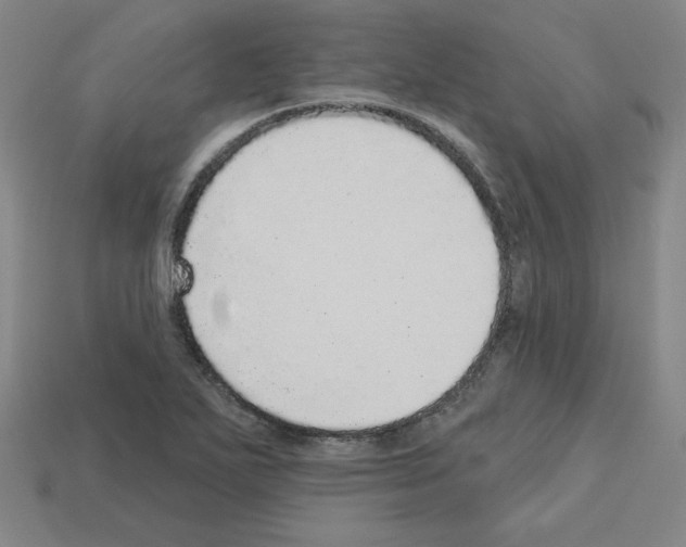 X0000112761271200910011208