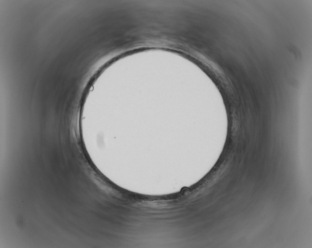 X0000112761272200910011208