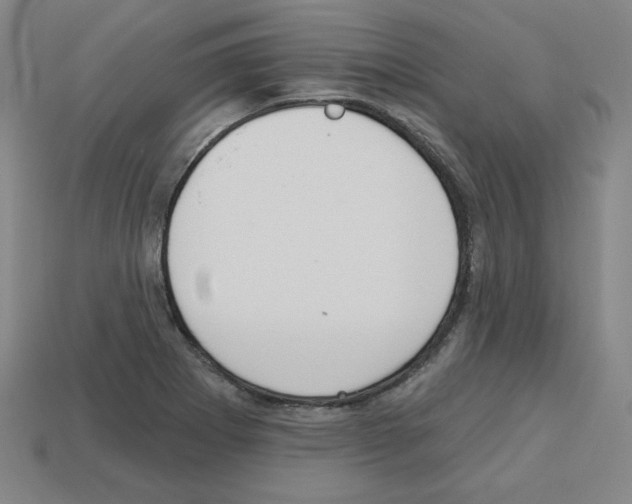 X0000112761273200910011208