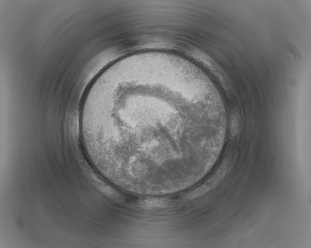 X0000112761274200910011208