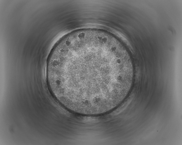 X0000112761275200910011208