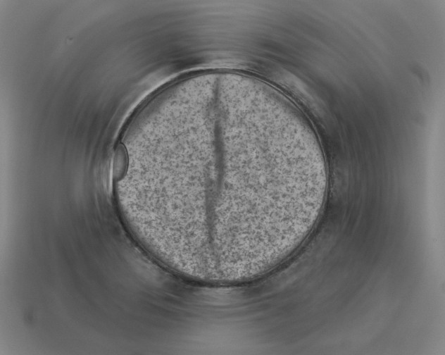 X0000112761276200910011208