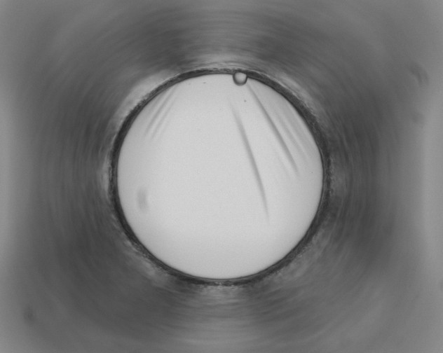 X0000112761277200910011208