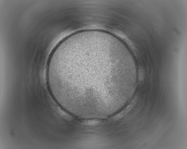 X0000112761278200910011208