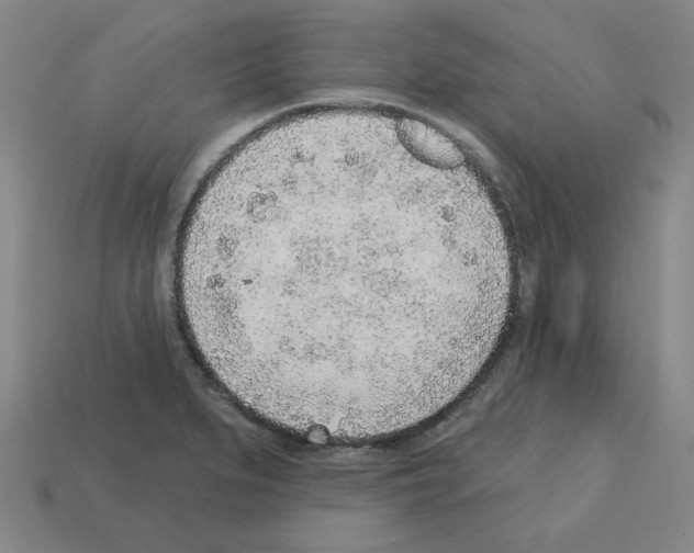 X0000112761279200910011208