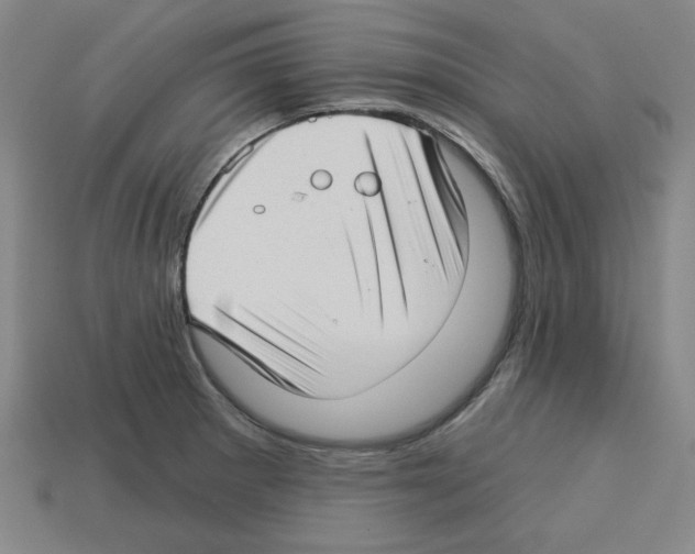 X0000112761281200910011208
