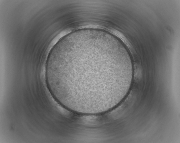 X0000112761282200910011208