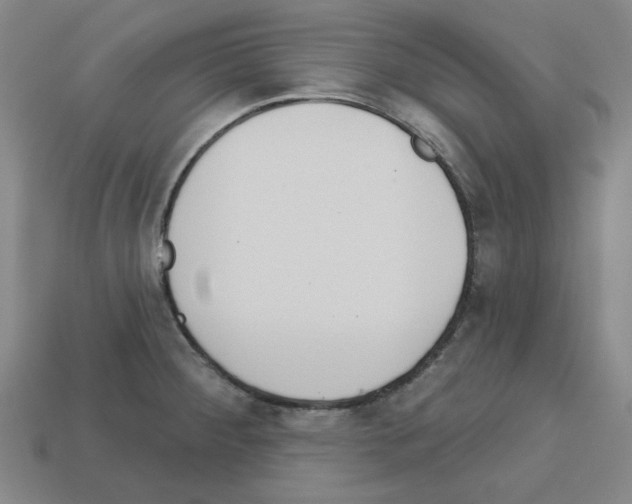 X0000112761284200910011208
