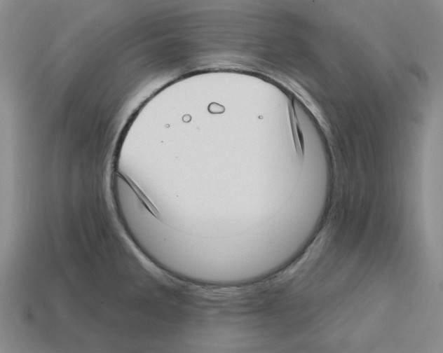 X0000112761285200910011208