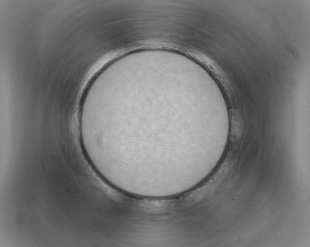 X0000112761286200910011208