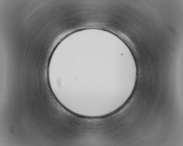 X0000112761288200910011208