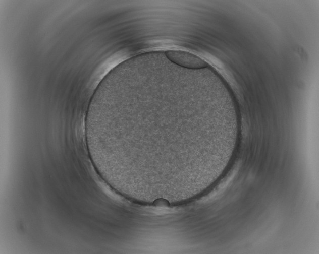 X0000112761289200910011208