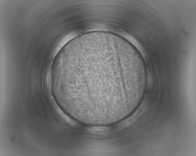 X0000112761290200910011208