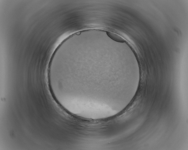 X0000112761291200910011208