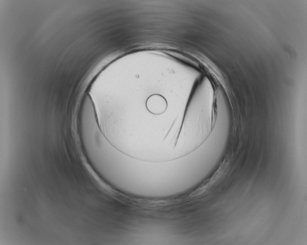 X0000112761293200910011208