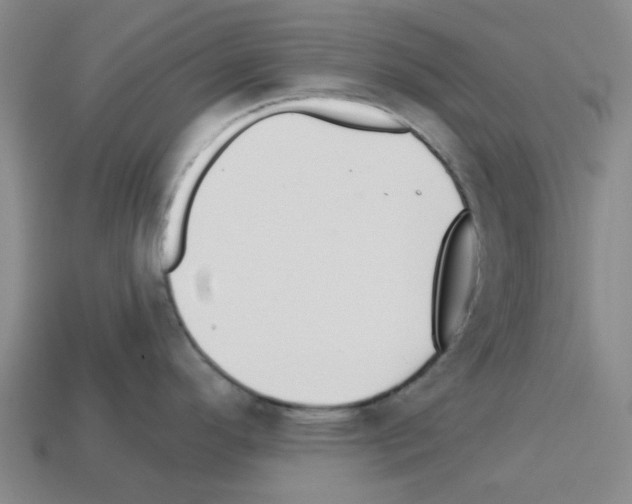 X0000112761296200910011208