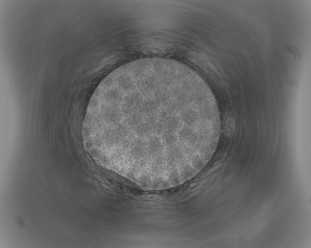 X0000112761297200910011207