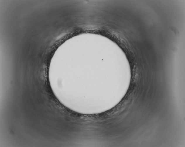 X0000112761301200910011207