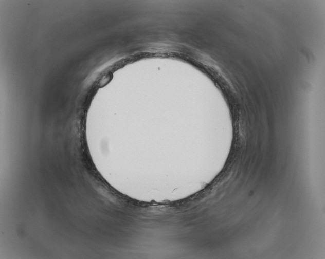 X0000112761304200910011207
