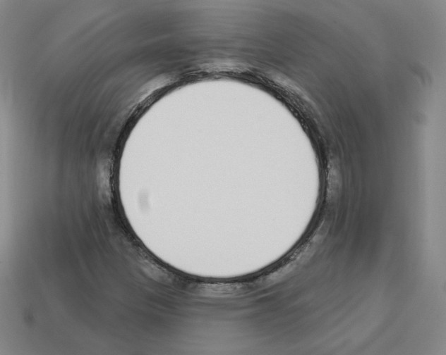 X0000112761305200910011207