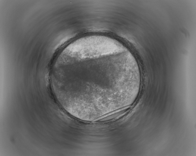 X0000112761306200910011207