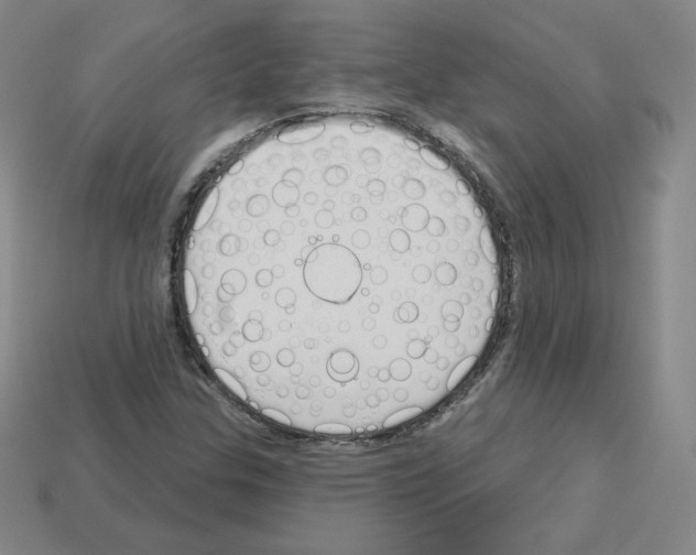 X0000112761307200910011207