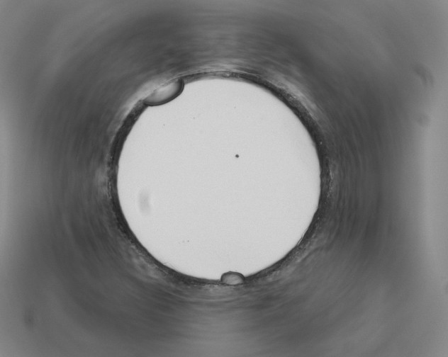 X0000112761308200910011207