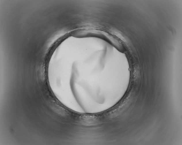 X0000112761310200910011207