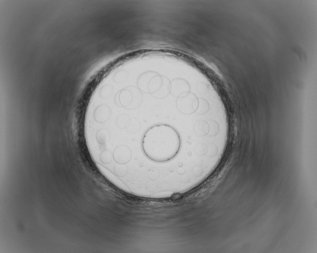 X0000112761311200910011207
