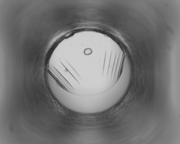 X0000112761312200910011207