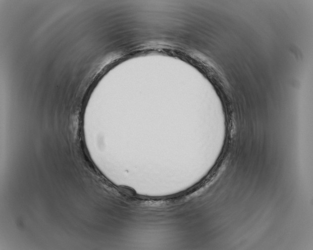 X0000112761313200910011207