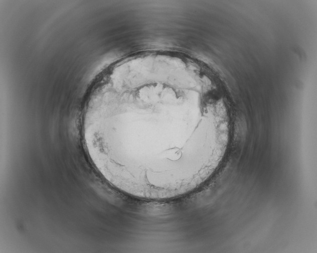 X0000112761314200910011207