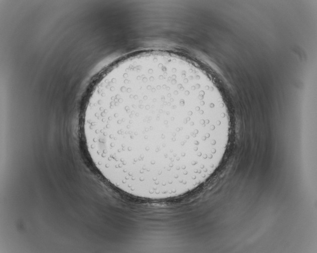 X0000112761315200910011207