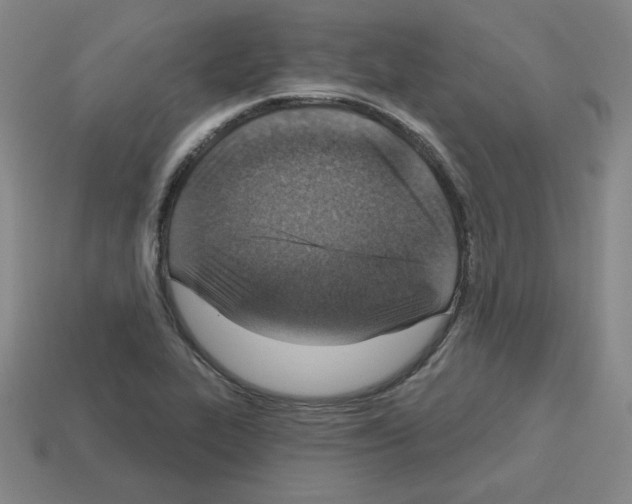 X0000112761319200910011207